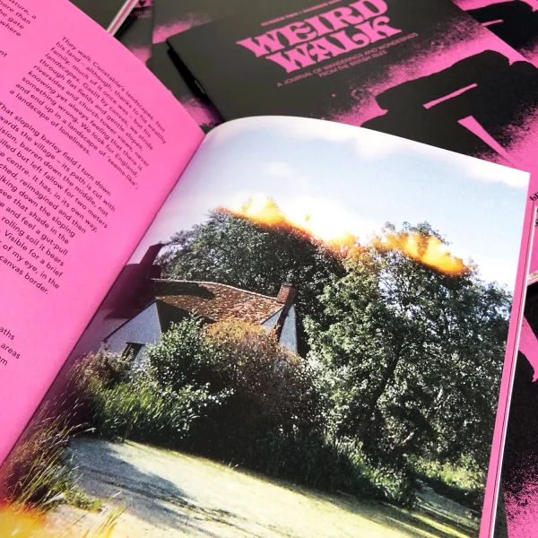 Weird Walk Issue 2 - Image 2