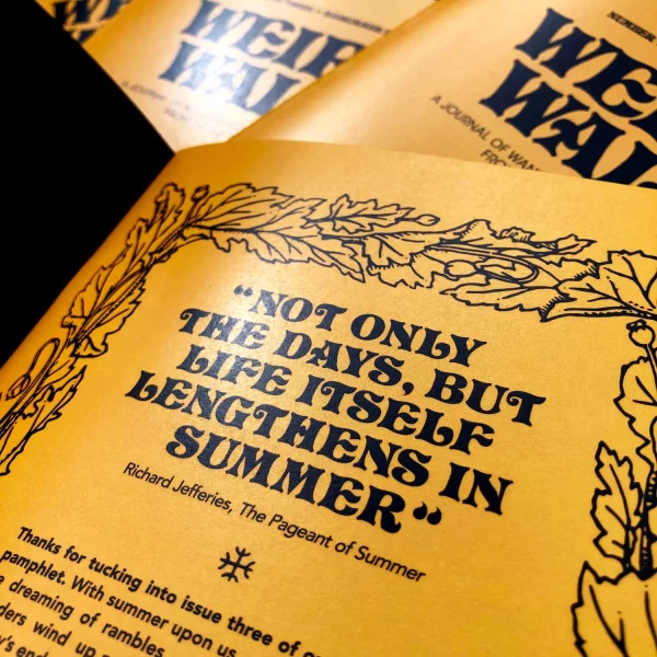 Weird Walk Issue 3 - Image 3