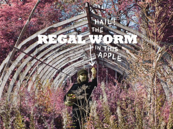 Regal Worm - Use And Ornament - CD - www.logofiasco.com