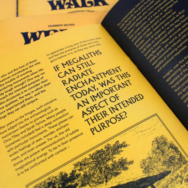 Weird Walk Issue 7 - Image 2