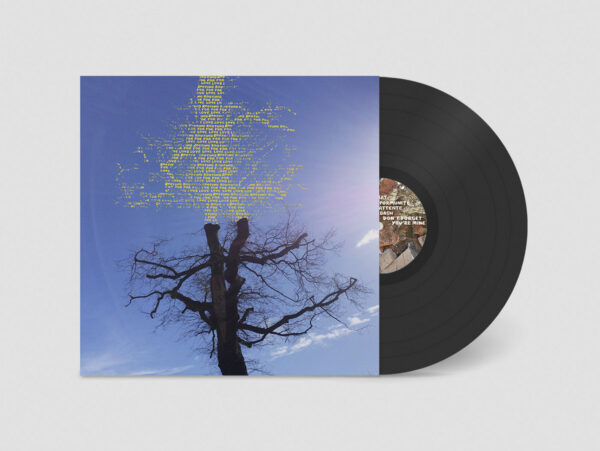 Rooting For Love (Vinyl) - Image 2