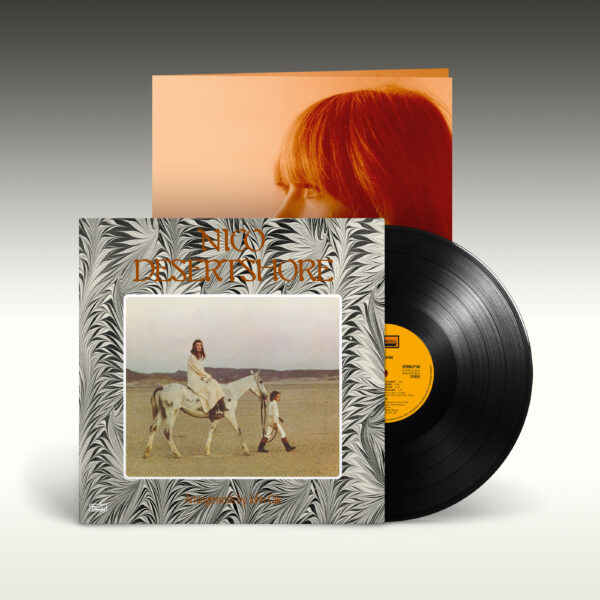 Desertshore (Vinyl) - Image 2
