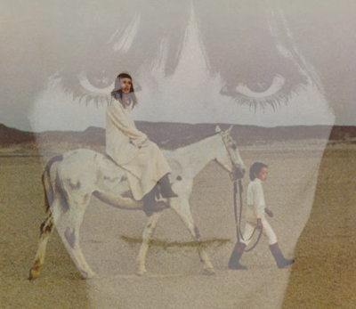 The Wonderful and Frightening World of Nico - www.logofiasco.com