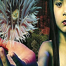 Lifeforms at 30 - www.logofiasco.com