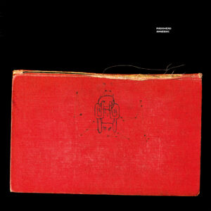 Amnesiac (Vinyl - 2LP)