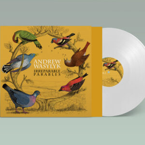 Andrew Wasylyk Irreparable Parables