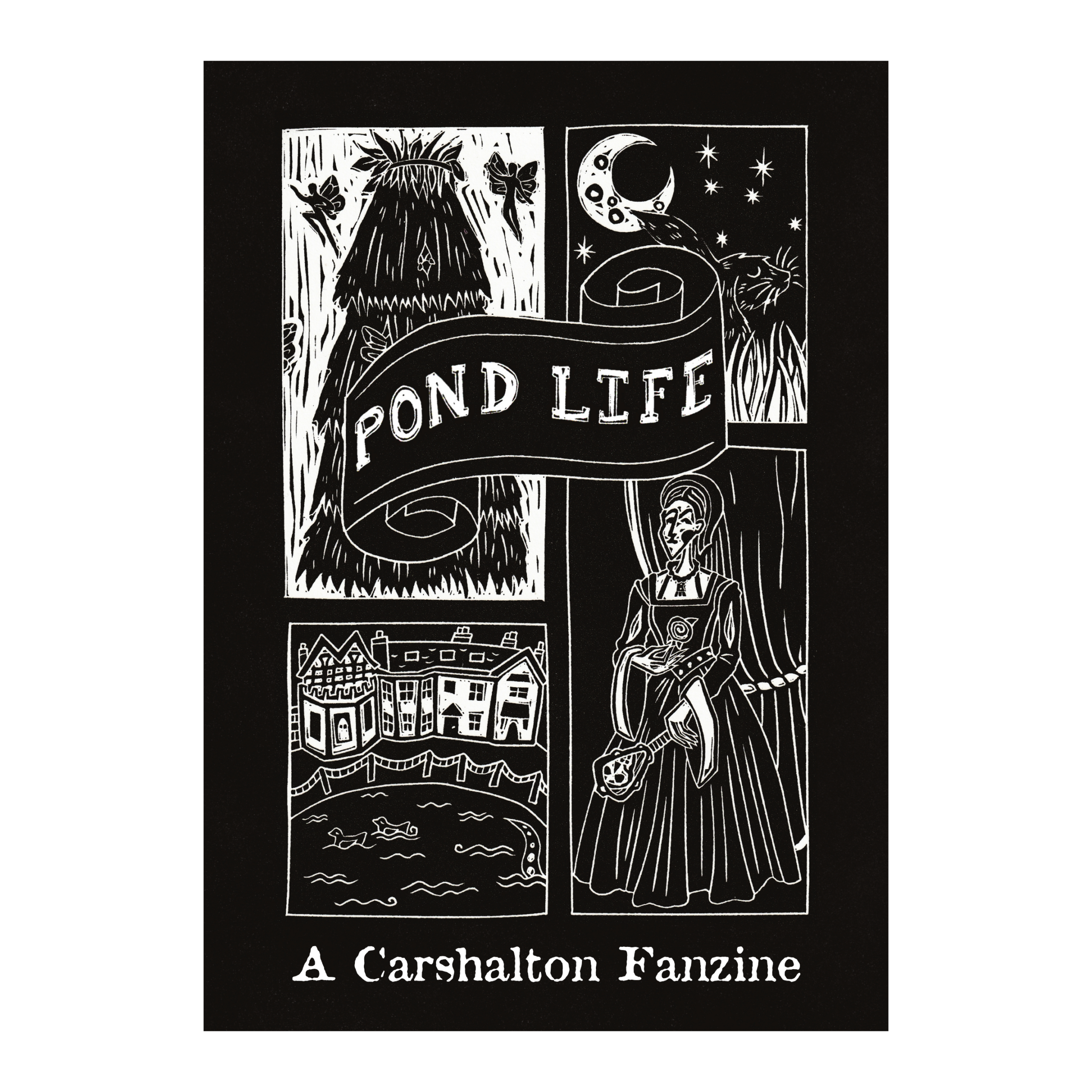 Pond Life - A Carshalton Fanzine
