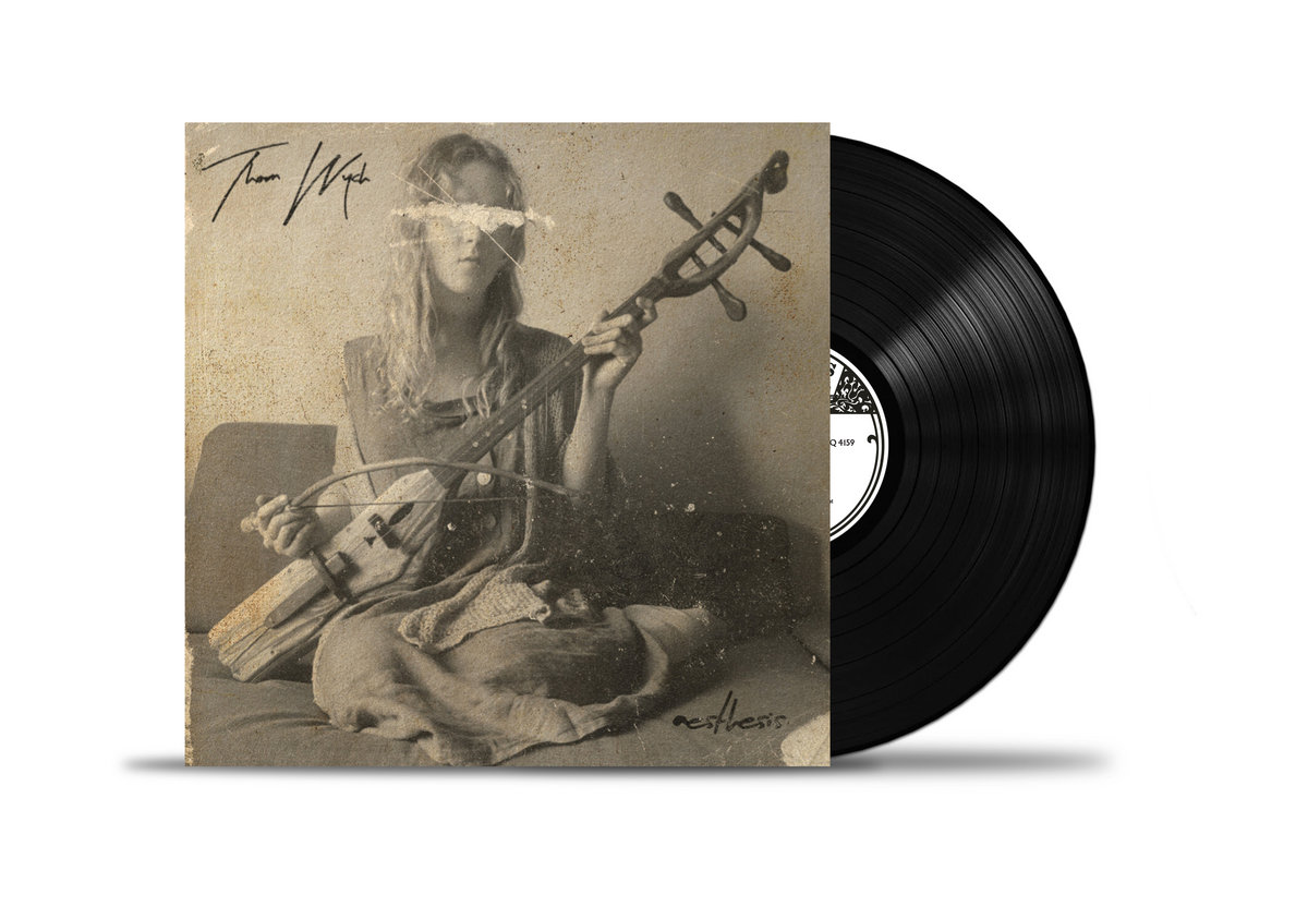 Aesthesis (Vinyl) - Image 2